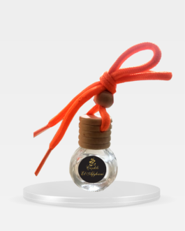 Diffuseur Voiture Mangue